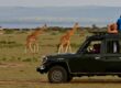 renting a car in kenya