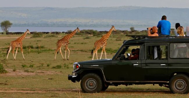 renting a car in kenya