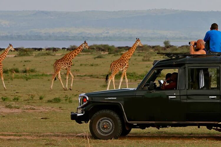 renting a car in kenya