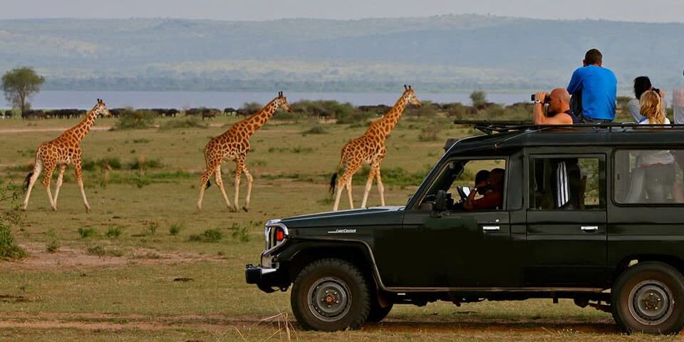 renting a car in kenya
