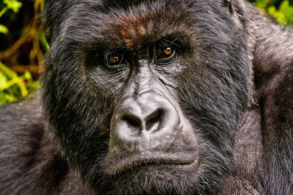 renting a car in Rwanda