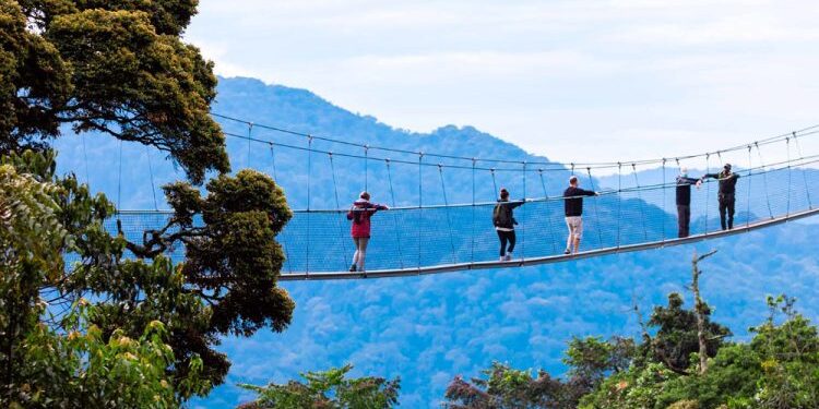 canpy-walk-nyungwe-750×450