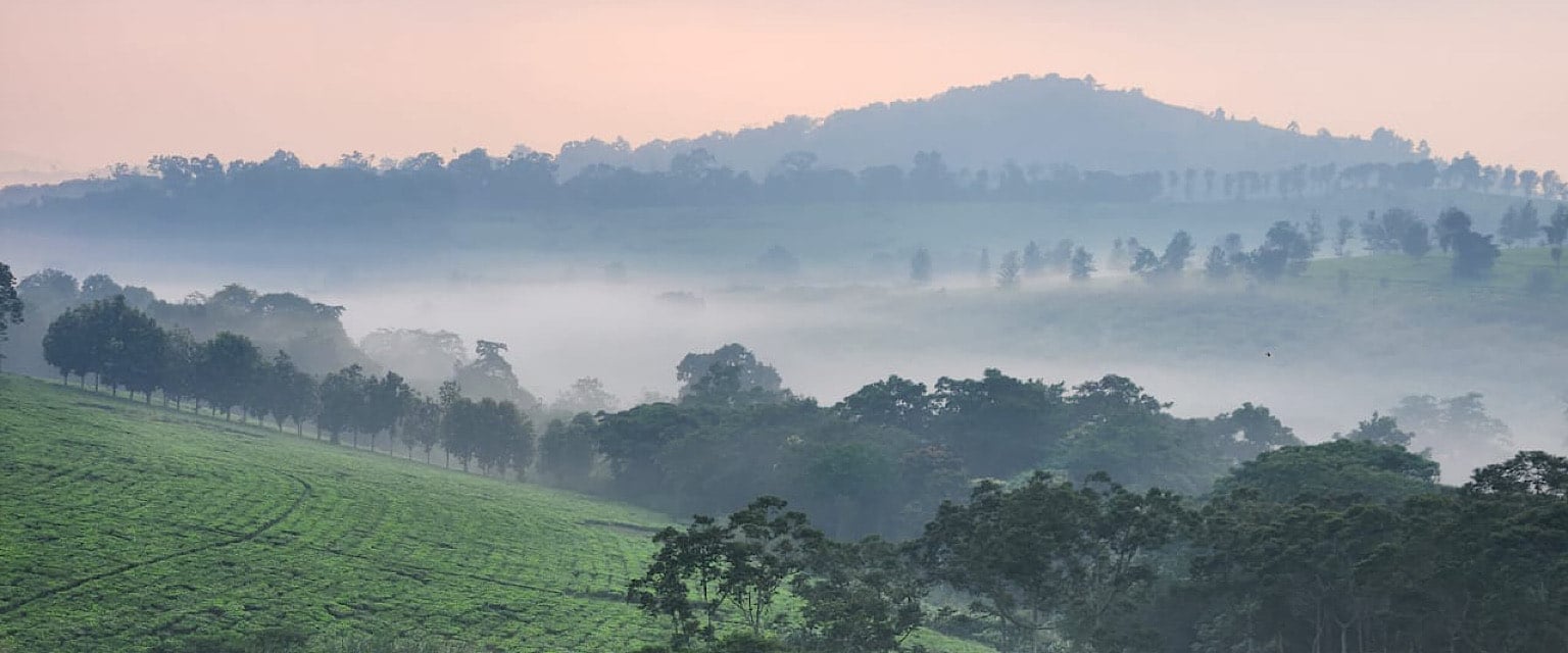 "Scenic view of Uganda's equatorial landscape with lush greenery, blue skies, and warm, sunny weather."