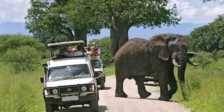 hiring a car with a driver in Uganda