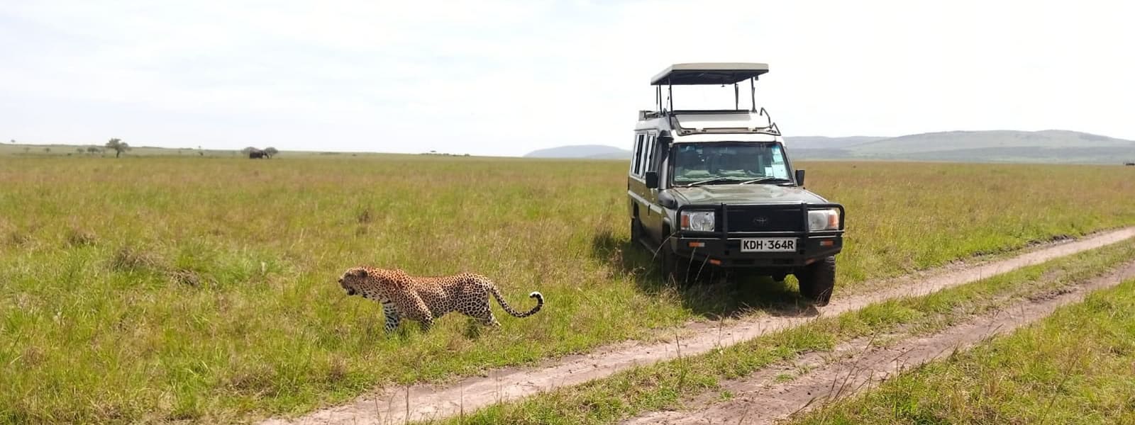 renting a car in Tanzania