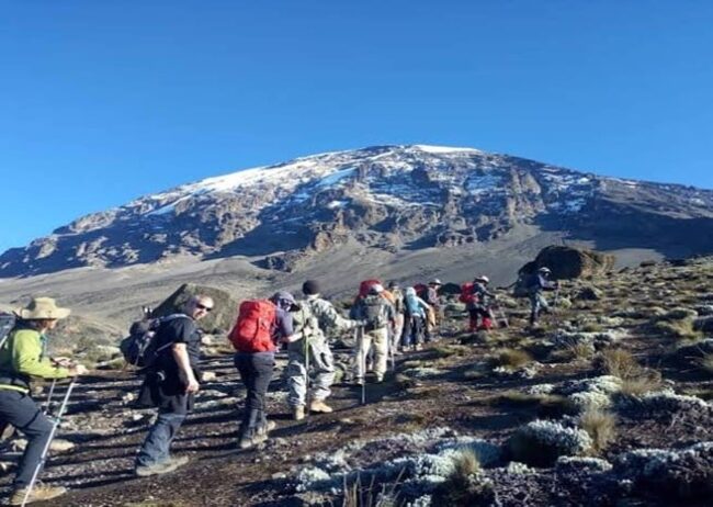 Trekkers ascending Mount Kilimanjaro with snow-capped peak in view under a clear blue sky – GoFurther4x4CarRental