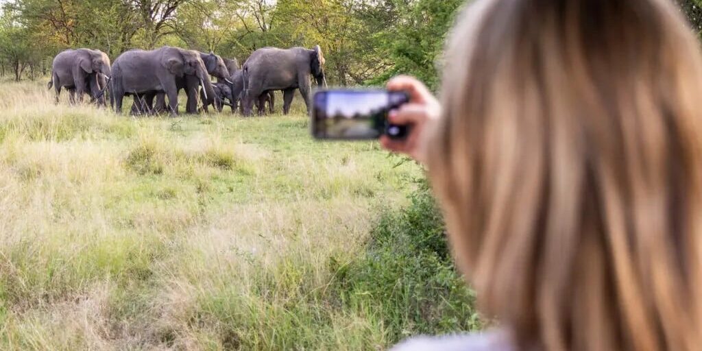 Solo female traveller photographing a herd of elephants on safari in East Africa with GoFurther 4x4 Car Rentals.
