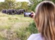 Solo female traveller photographing a herd of elephants on safari in East Africa with GoFurther 4x4 Car Rentals.