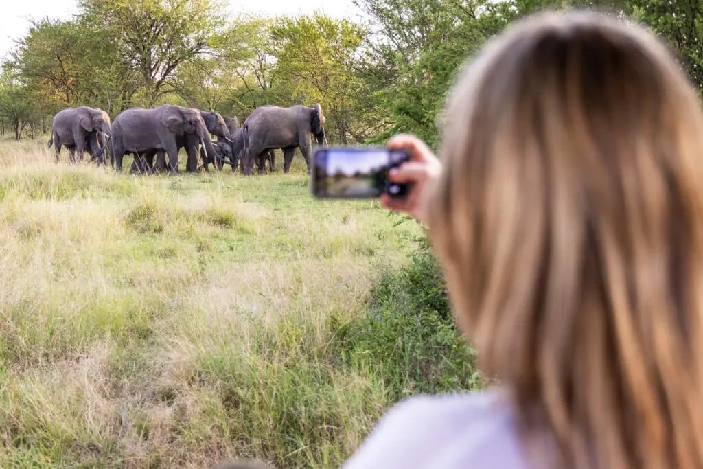 Solo female traveller photographing a herd of elephants on safari in East Africa with GoFurther 4x4 Car Rentals.