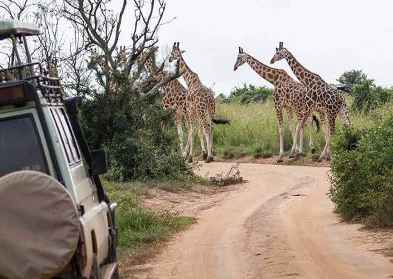 Crossborders with Gofurther 4x4 car rentals