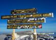 Uhuru Peak summit sign on Mount Kilimanjaro at 5895 meters during a guided hike
