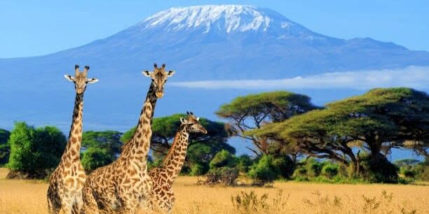 4x4 car rental destinations in East africa