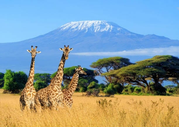 4x4 car rental destinations in East africa