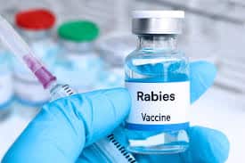rabies vaccines for uganda travel