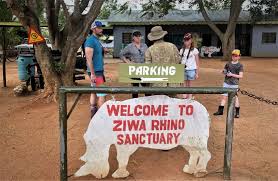 return of rhinos to kidepo valley national park