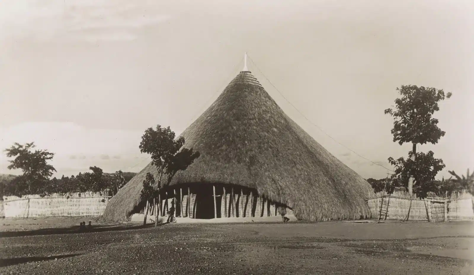 safari in uganda 