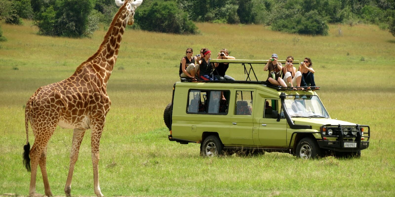 Tanzani-Wildlife-tour open park days