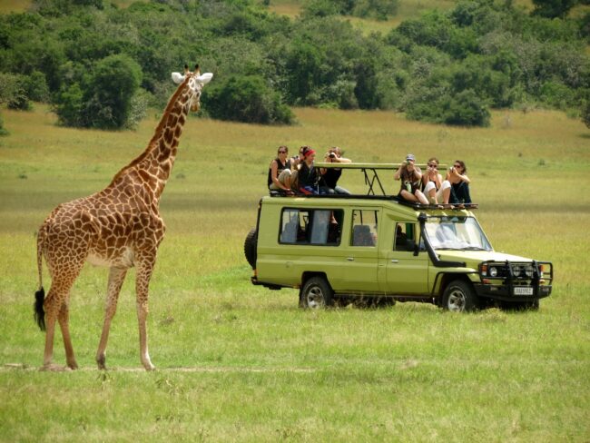 Tanzani-Wildlife-tour open park days